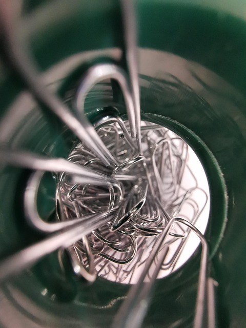 Free Paper Clips Office photo and picture