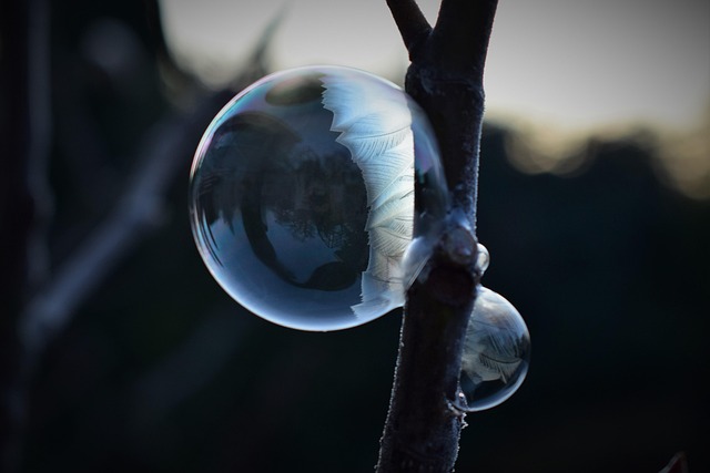 Free Soap Bubble Frozen photo and picture