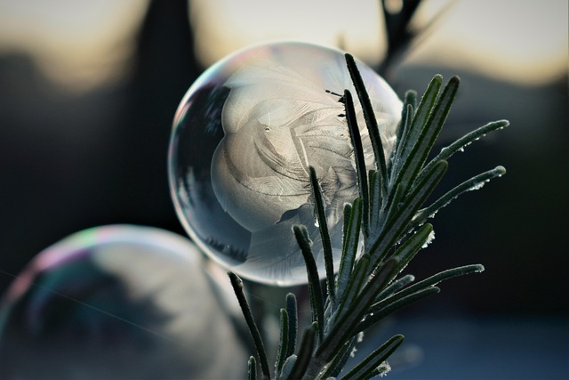 Free Soap Bubble Frozen photo and picture