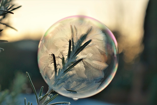 Free Soap Bubble Frozen photo and picture
