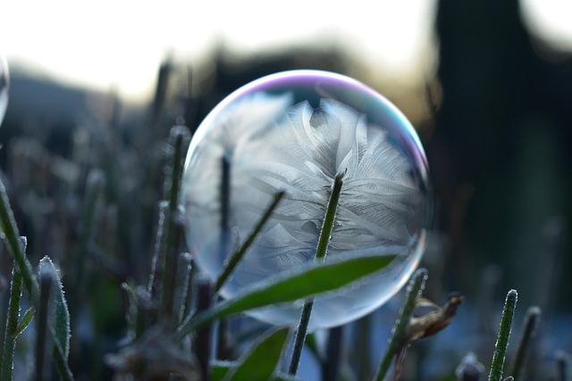 Free Soap Bubble Frozen photo and picture