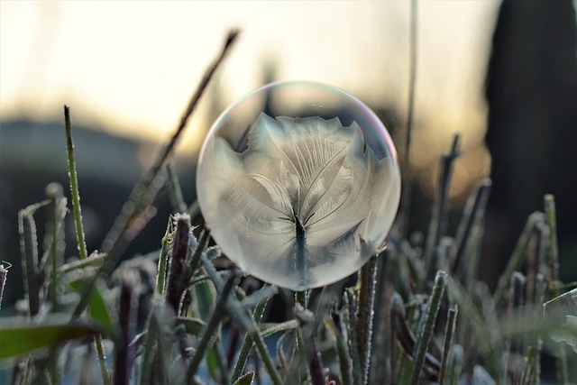 Free Soap Bubble Frozen photo and picture