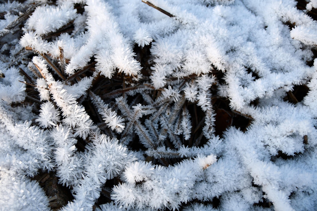 雪 冰 冬天 - Pixabay上的免费照片 - Pixabay