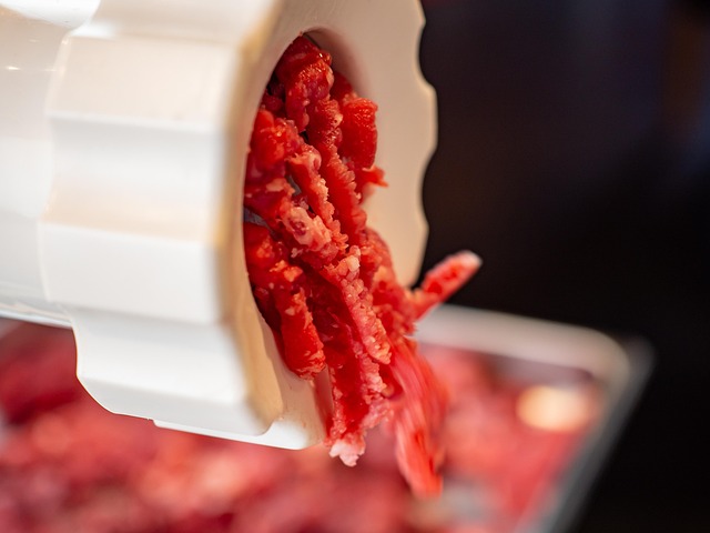 Free Meat Grinder Flesh photo and picture