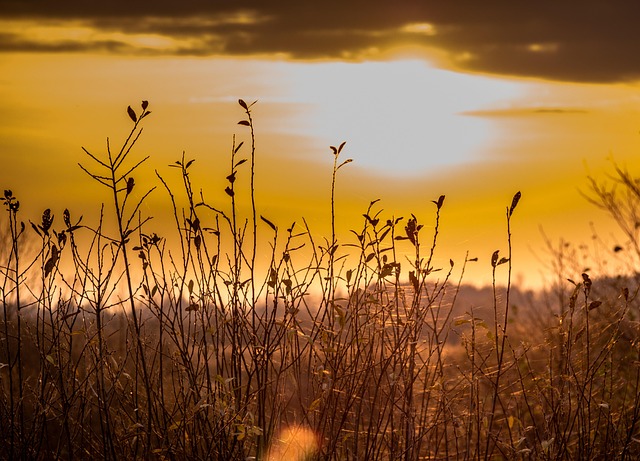 Free View Landscape photo and picture