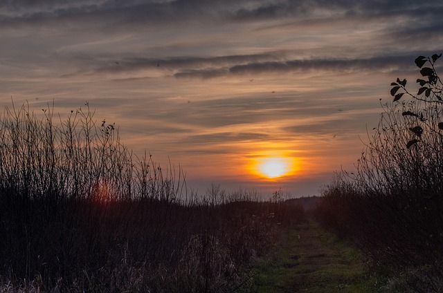 Free View Landscape photo and picture