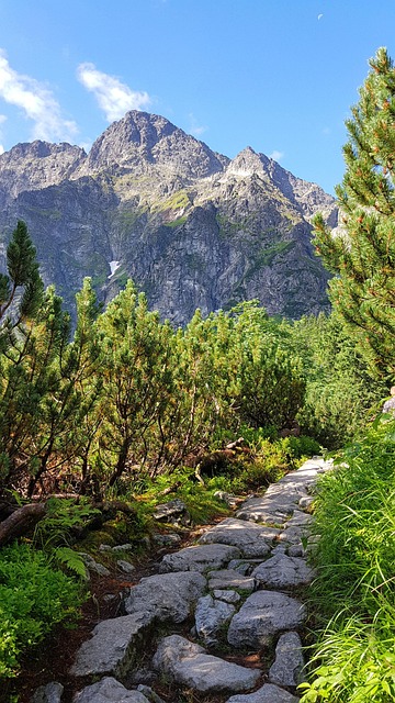 Berge, Landschaft, Der Pfad, Tourismus
