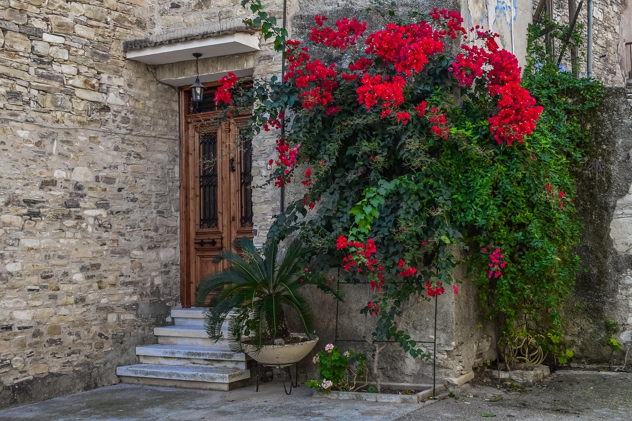 Street - free online jigsaw puzzle photo