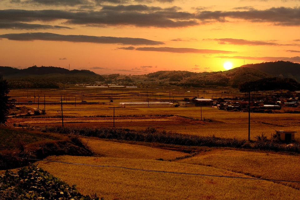 농촌풍경 논 석양 - Pixabay의 무료 사진 - Pixabay