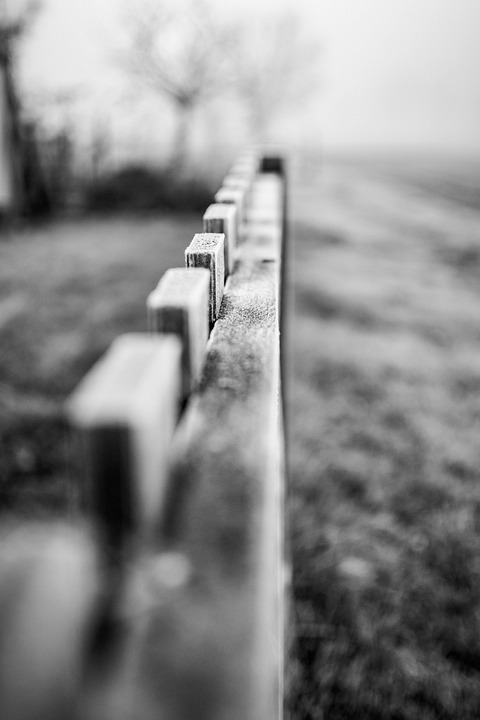 Fence Garden Black-And-White - Free photo on Pixabay - Pixabay