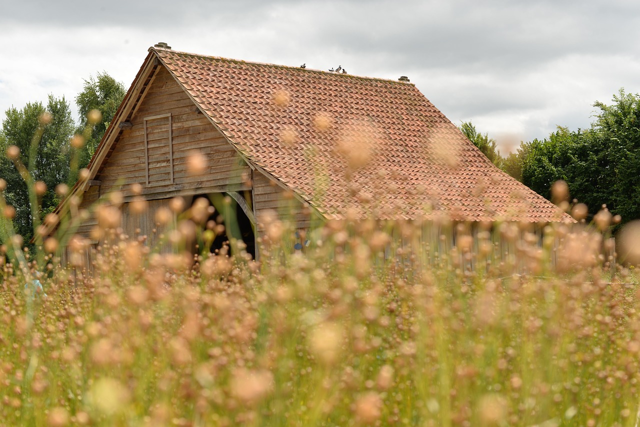 Roof - free online jigsaw puzzle photo