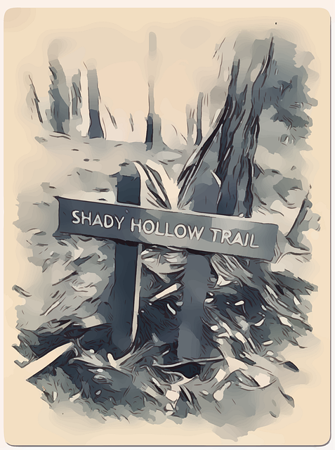 Free hollow hiking trail vector