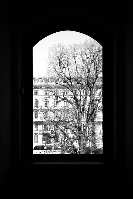 Free Castello Sforzesco Milano photo and picture