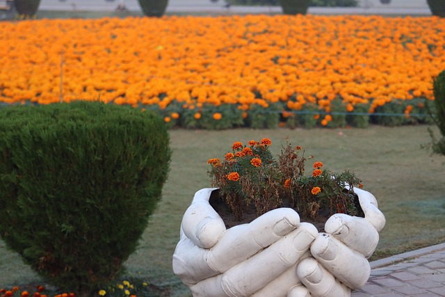 Bloemen, Natuur, Bloesem, Tuin