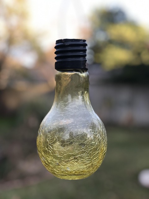 Free Lightbulb Green photo and picture