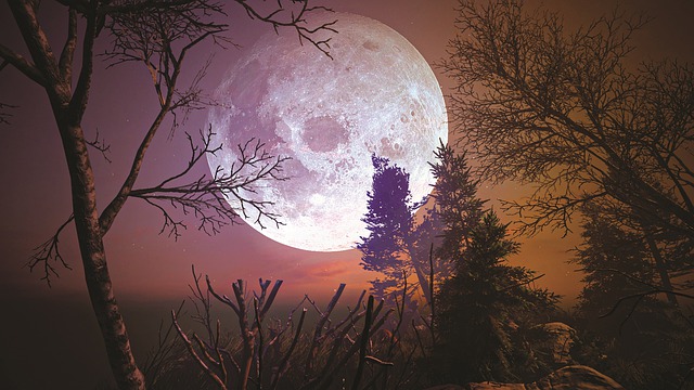 Free fantasy world earth illustration