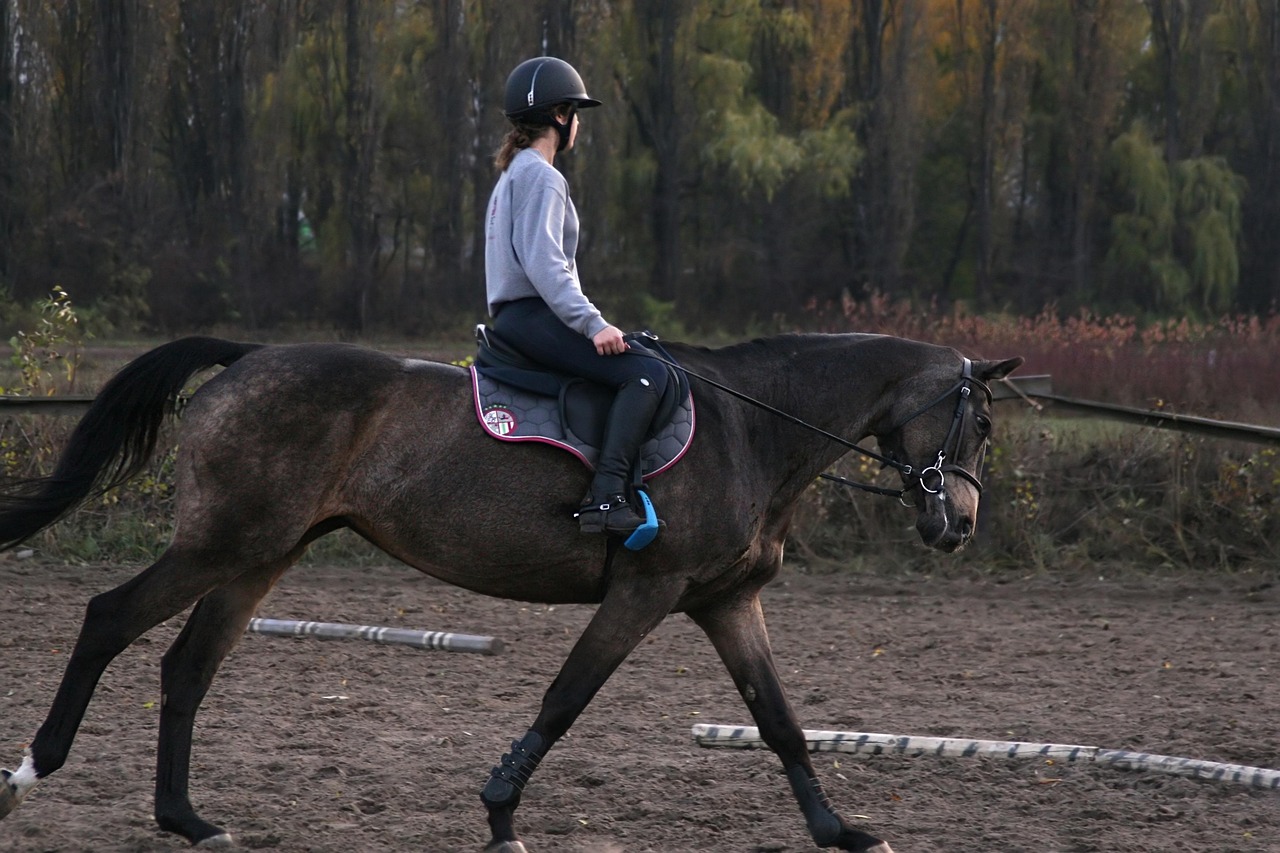 Ejercicio Equitación Caballo - Foto gratis en Pixabay