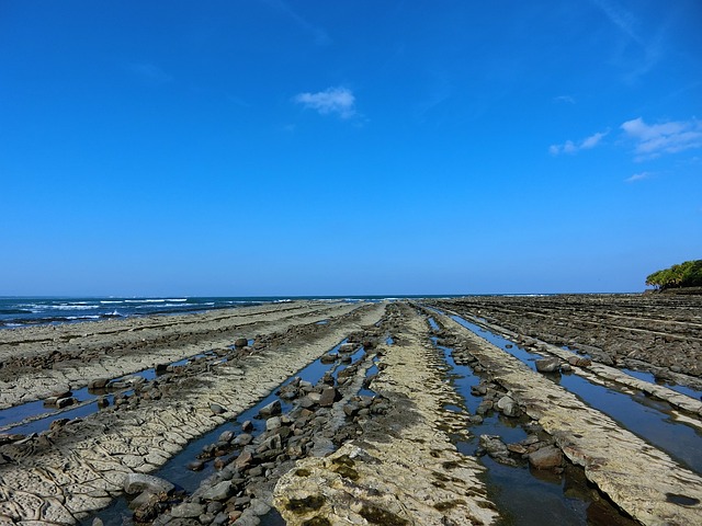 Aoshima, Miyazaki, Japan