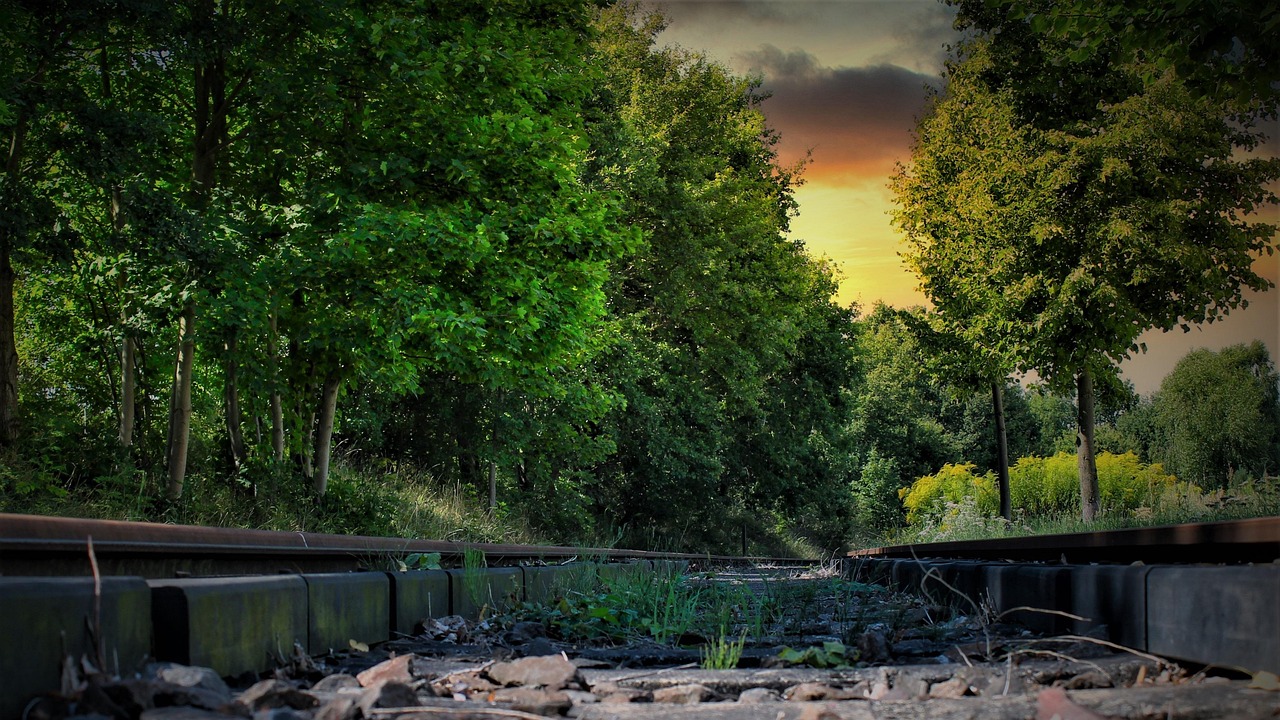 Rails - free online jigsaw puzzle photo