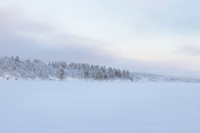 Invierno, Paisaje, Norte, Nieve