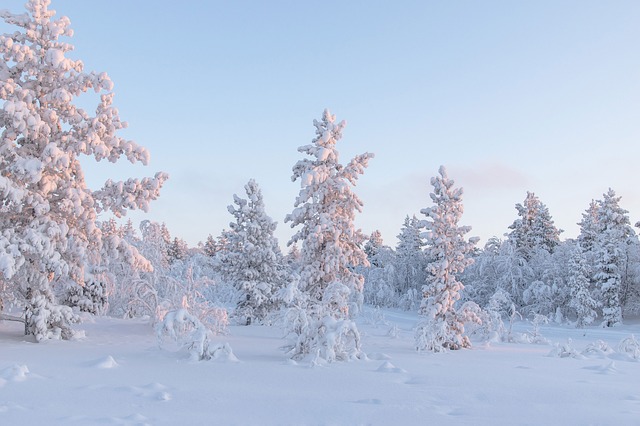 Invierno, Paisaje, Nieve, En Invierno