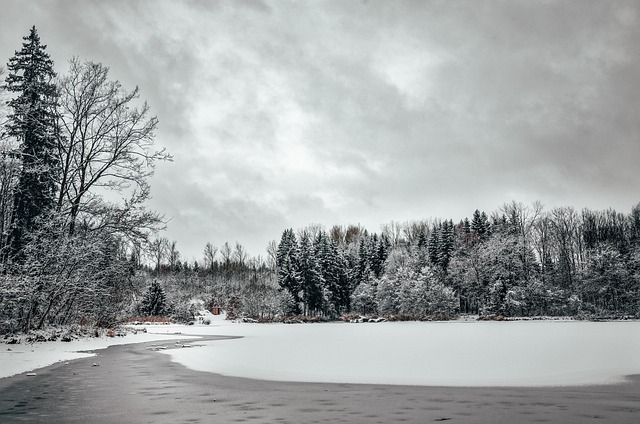 Free Winter Lake photo and picture