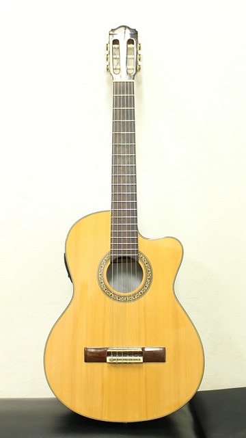 Violão, Música, Instrumento