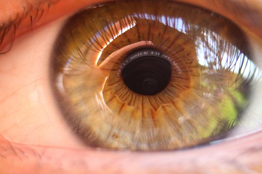Free Eye Green photo and picture