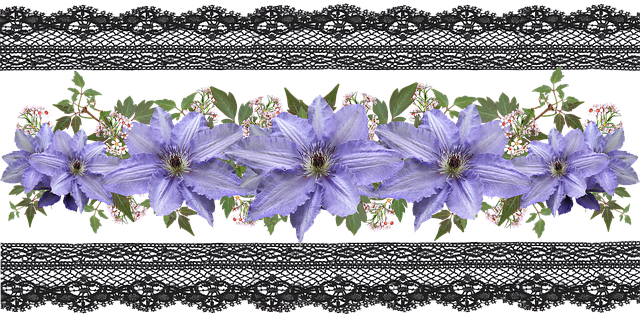 Grens, Banier, Bloemen, Natuur, Mauve