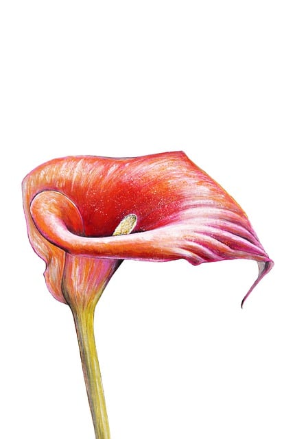 Free painting art paintings illustration