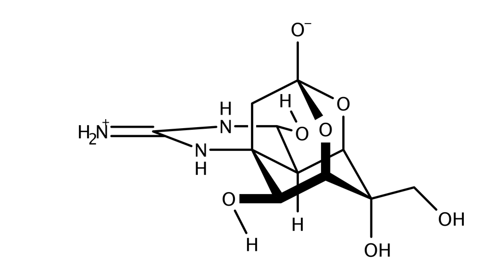 テトロドトキシン Tetrodotoxin Ttx Pixabayの無料画像