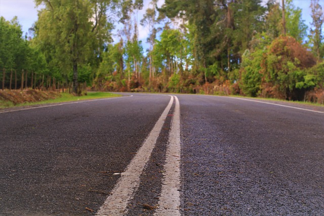 Free Road Nature photo and picture