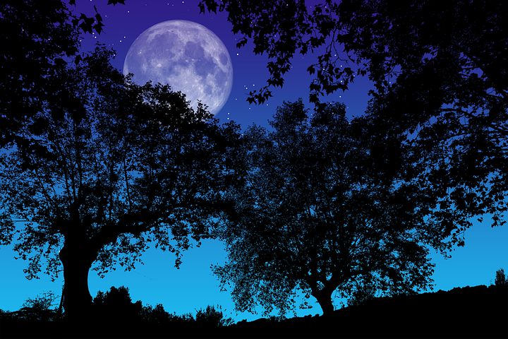 2,000+ Free Full Moon & Moon Images - Pixabay