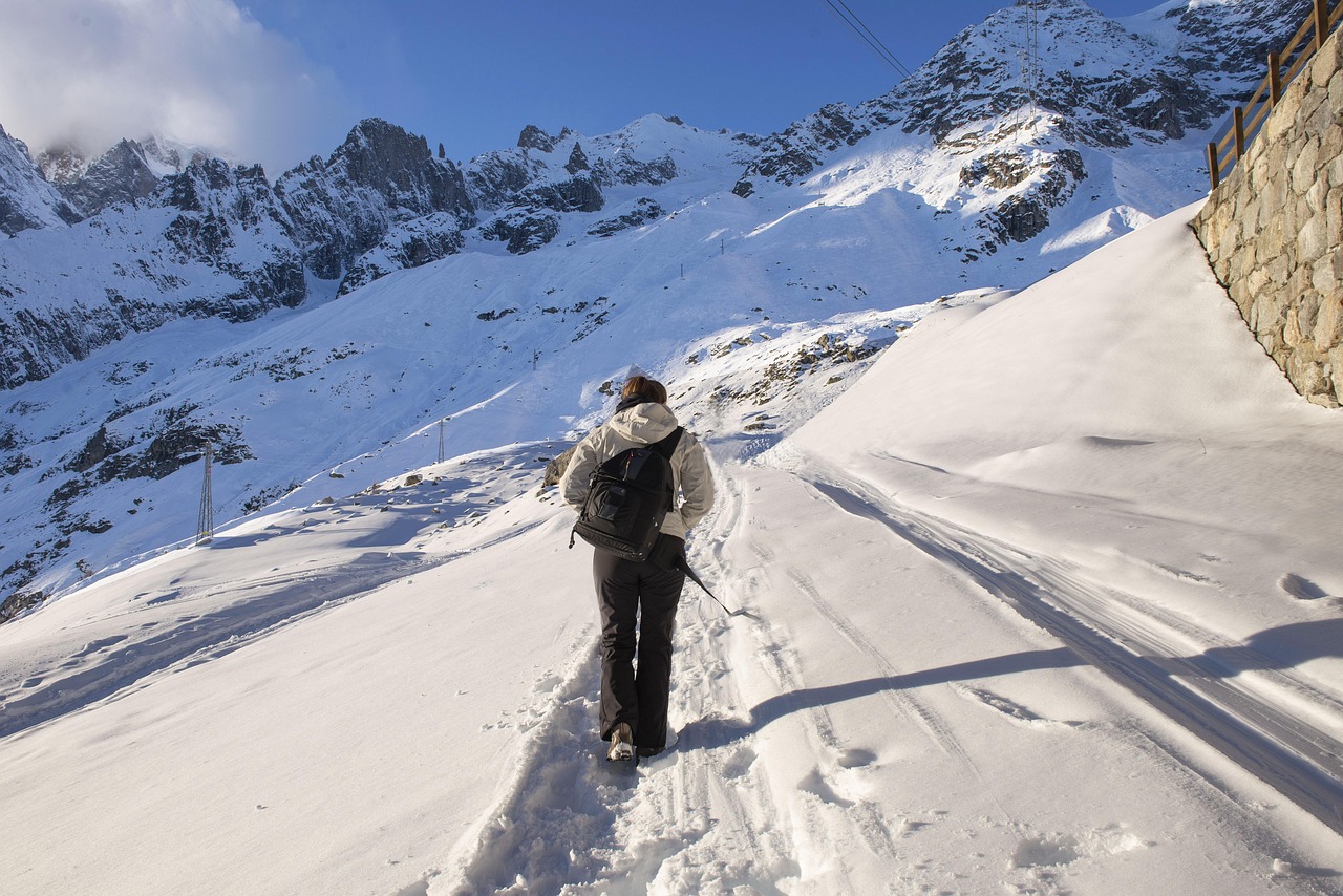 Snow Walking Neve - Foto gratis su Pixabay