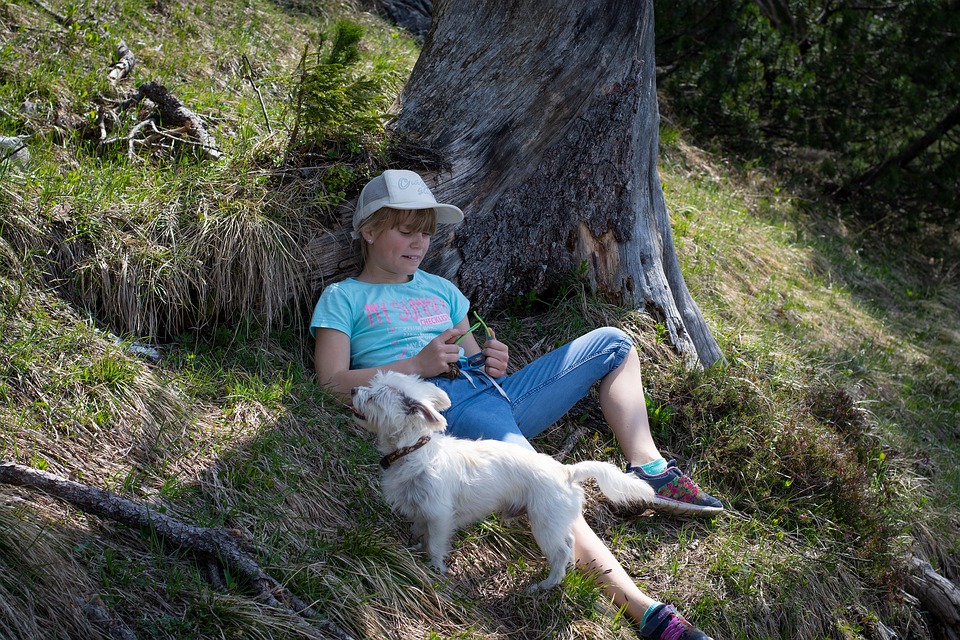 Salto, Resto, La Naturaleza, Fuera, Niño, Perro
