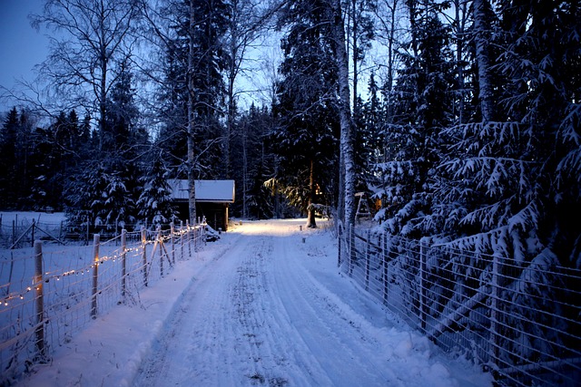 Free Nature Winter photo and picture Free Nature Winter photo and picture