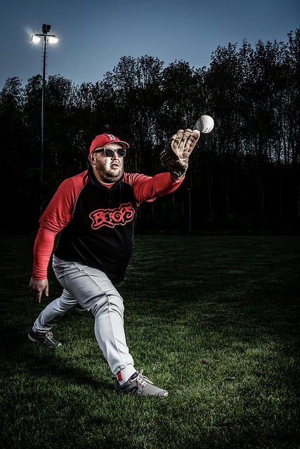 Free Sport Baseball photo and picture