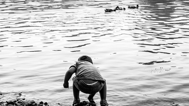 Junge, Wasser, Enten, Sommer, See