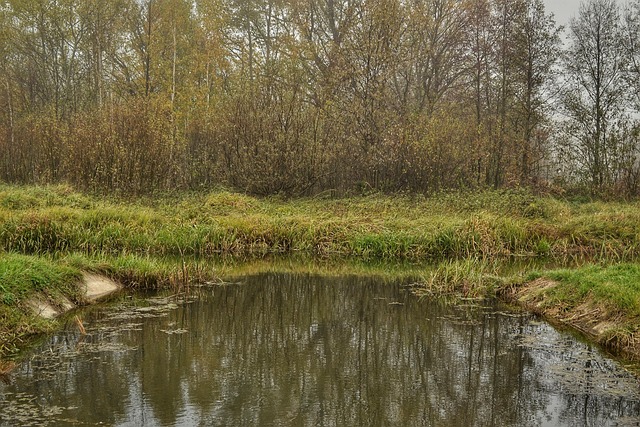 Free Lake Water photo and picture
