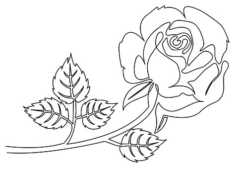 Free Rose Leaves photo and picture