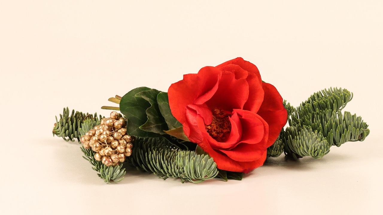 Rose - free online jigsaw puzzle photo