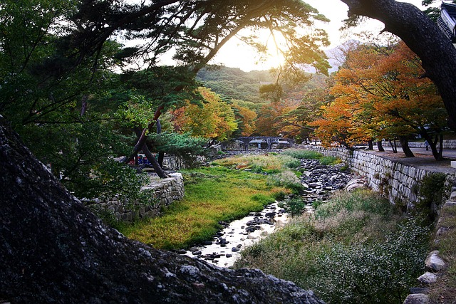 Free Nature Autumn photo and picture