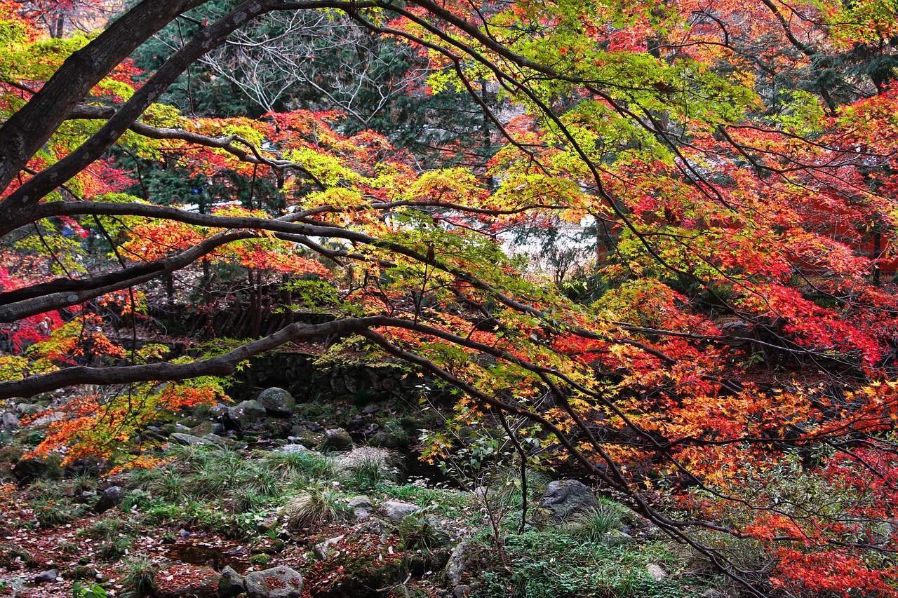 Baekyangsa Temple - free online jigsaw puzzle photo