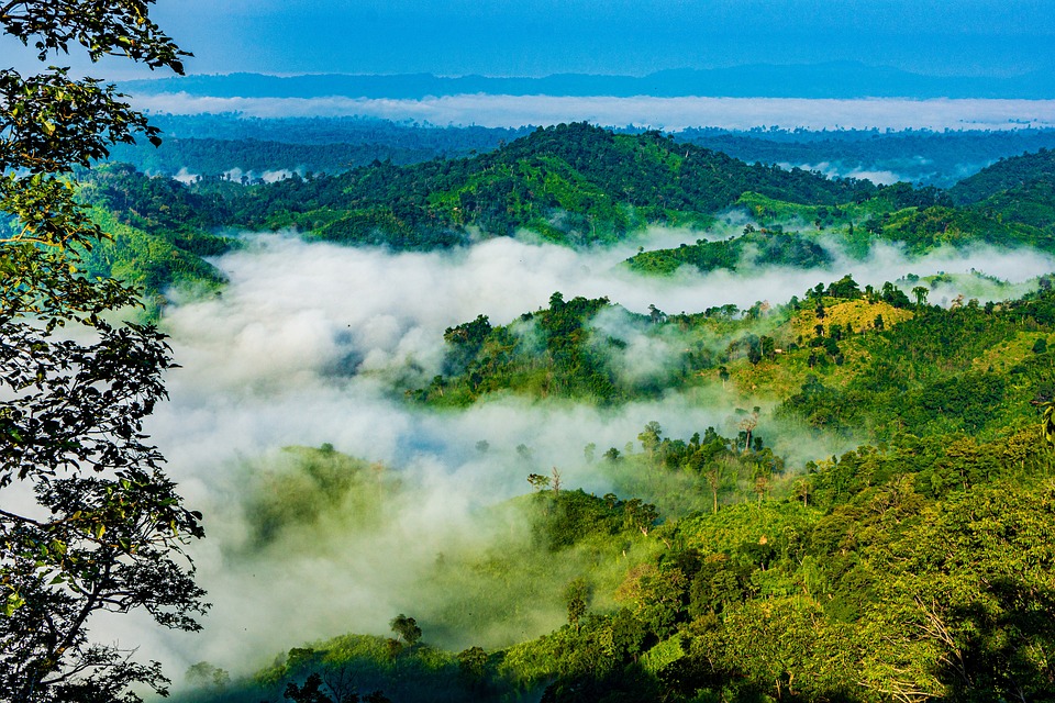 Bangladesh Nature Sajek Free Photo On Pixabay Bangladesh Nature Sajek Free Photo On Pixabay