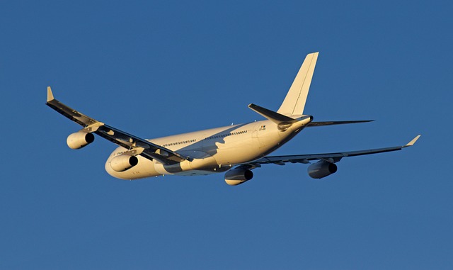 Free A340 Air Belgium photo and picture