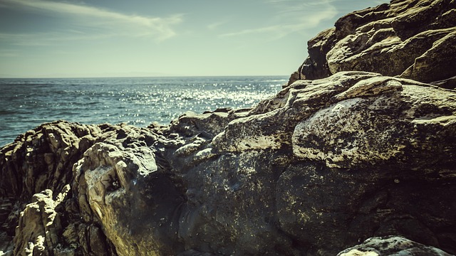 Free Photography West Coast photo and picture