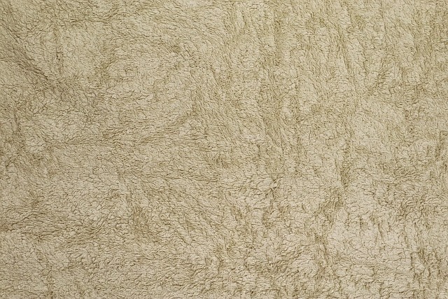 Free Texture Background photo and picture
