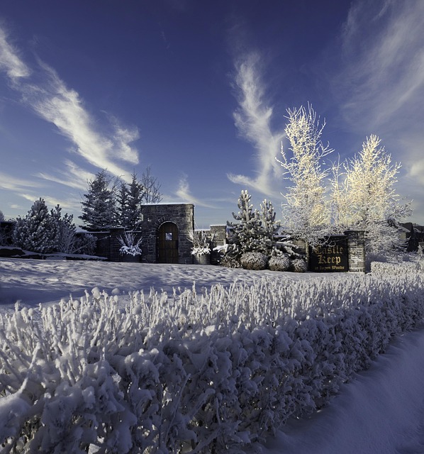 Free Winter White Snow photo and picture