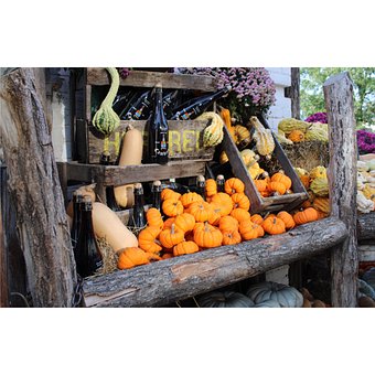 Free Halloween Pumpkin photo and picture