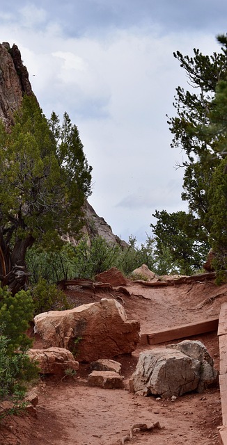 Free Path Climb photo and picture